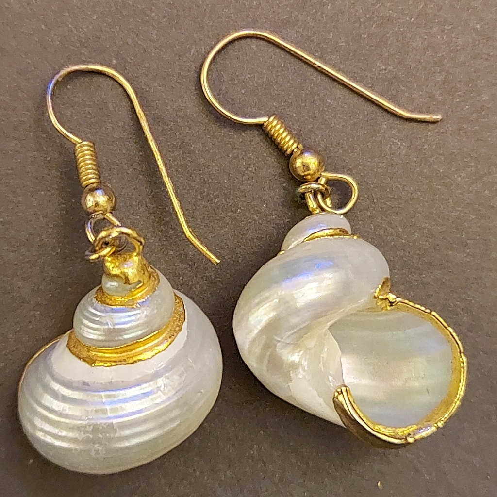 Shell Earings